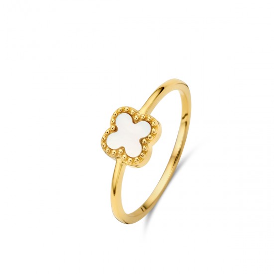 Ring Naiomy - 117279